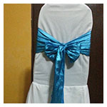 Ribbon / Sash