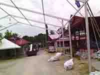 Marquee tent